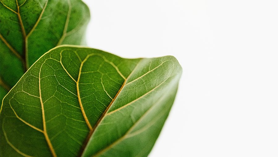 Go Green Dengan Cara Mengolah Limbah Industri